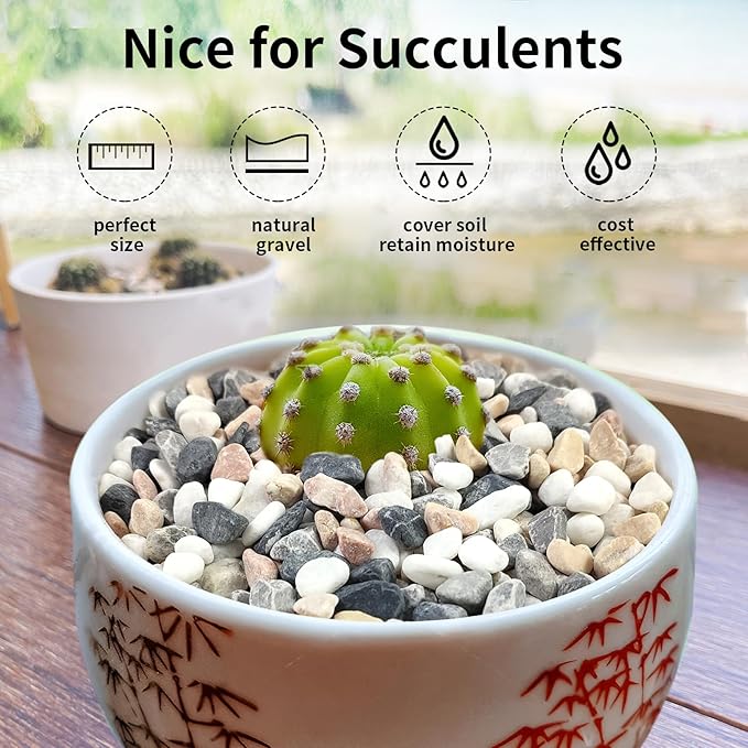 2 lbs Succulent and Cactus Pebbles Gravel, 3/8 Inch Mixed Color Decorative River Rocks for Plants Indoor, Vases, Terrarium, Potted Top Dressing and Outdoor Decorative Stones
