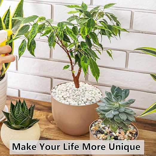 5LB Succulent and Cactus Gravel Pebbles, 3/8 Inch Natural Decorative Polished Stones, River Rocks for Plants, Vases, Aquariums, Terrarium and Outdoor Gardening, White