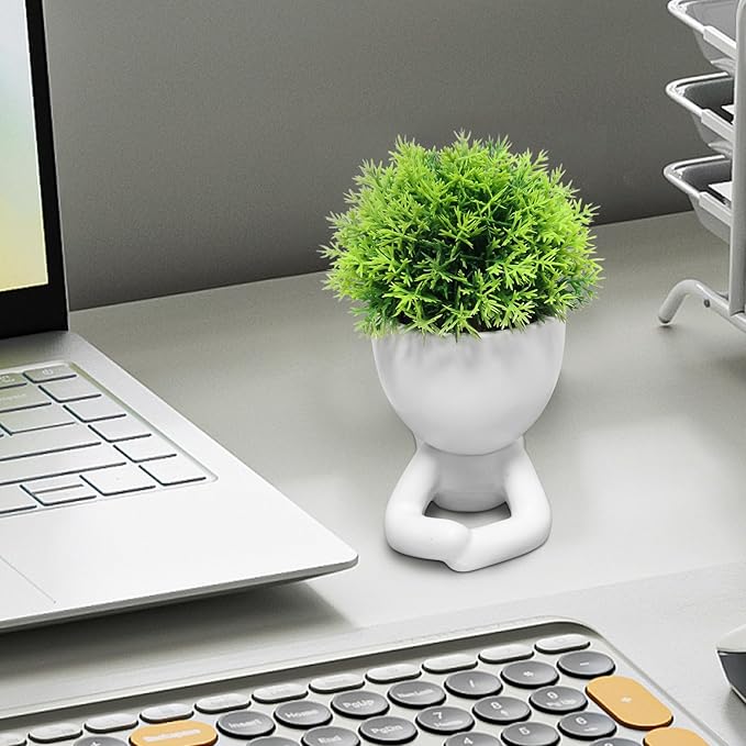 Zerzsy Mini Succulent Plant - Plants Gift - Cute Desktop Decoration Desk Decorations for Women Office -Small Plants Shelf Decor-Cute Cubicle Accessories-Set of 1