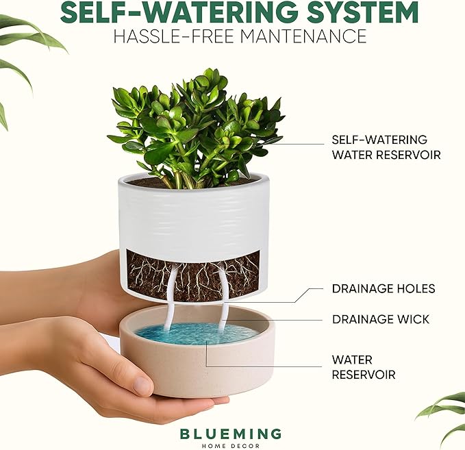 Self Watering Planter – 6 Inch Ceramic Plant Pots for Indoor House Plants with Drainage Hole & Water Storage for Succulents (White & Beige, 7" Tall)