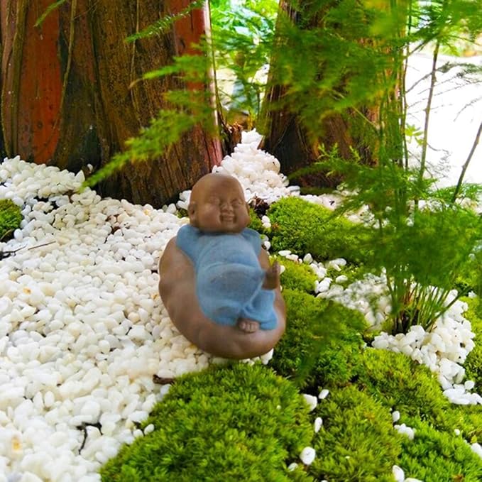 TOYPOPOR Mini White Rocks Stone Decorative Pebbles Vase Fillers Succulents Cactus Bonsai DIY Plant Rock Garden Outdoor Indoor Gravel for Aquarium, Terrarium, Fairy Gardening, Top Dressing 6lbs