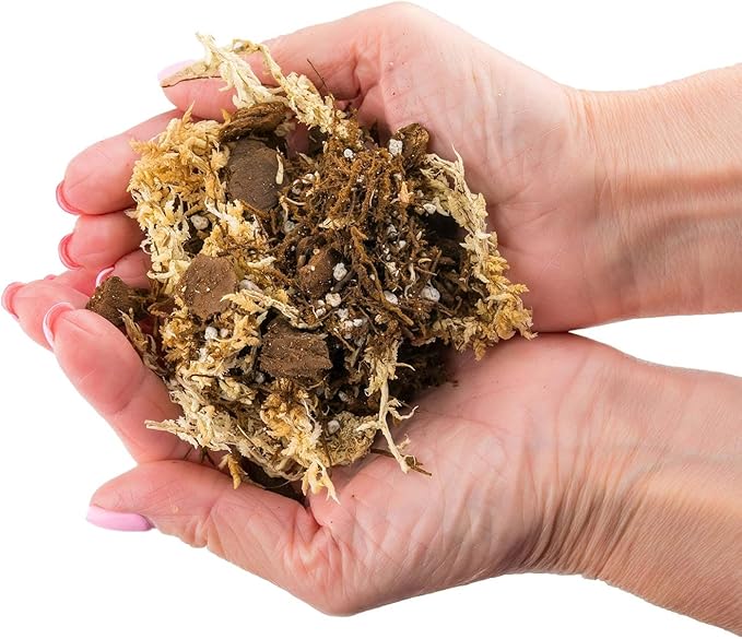 Gardenera Premium Orchid Mix by GARDENERA | Fern + New Zealand Pine Bark + Sphagnum Moss + Perlite | Best for Growing and Repotting Orchids - 1 Quart Bag