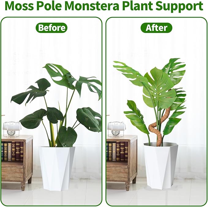 Moss Pole Set for All Growth Stages – 2 Pack 28” Bendable Moss Poles & 2 Pack 12” Stackable Coir Poles, Moss Pole Monstera Plant Support for Pothos, Philodendron, Indoor Climbing Plants