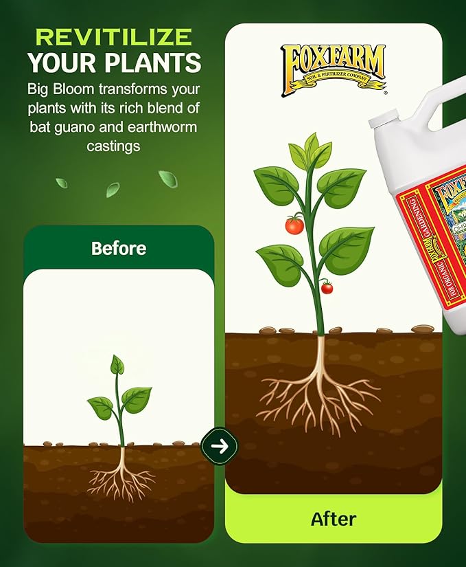 FoxFarm - Big Bloom Plant Food, Liquid Fertilizer Concentrate for Flowers, Fruits, and Vegetables, All Purpose Plant Fertilizer for Indoor & Outdoor Potted Plants, NPK 0-0.5-0.7 (2.5 Gallon)