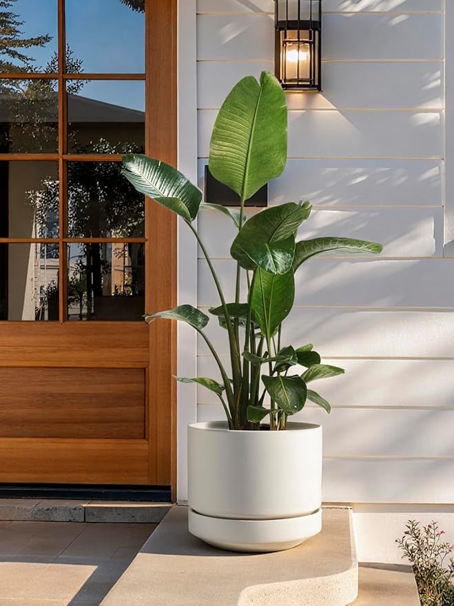 LE TAUCI Large 14 Inch Plant Pot with Saucer | Ceramic Outdoor & Indoor Big Planter Pot | Drainage Hole, Mesh Pad & Plug | Unglazed Porous | Modern Minimalist for Home and Patio – Chalk White
