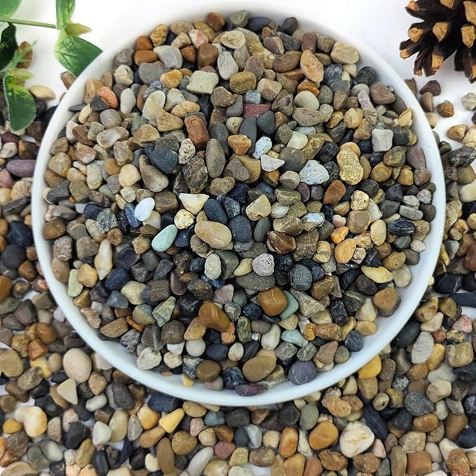 2lbs Natural River Rocks, 1/4" Aquarium Gravel Succulent Cactus Pea Gravel for Plants, Fish Tank, Decorative Pebbles for Gardening, Flower Pots, Vase Fillers, Indoor Water Fountains, Landscaping