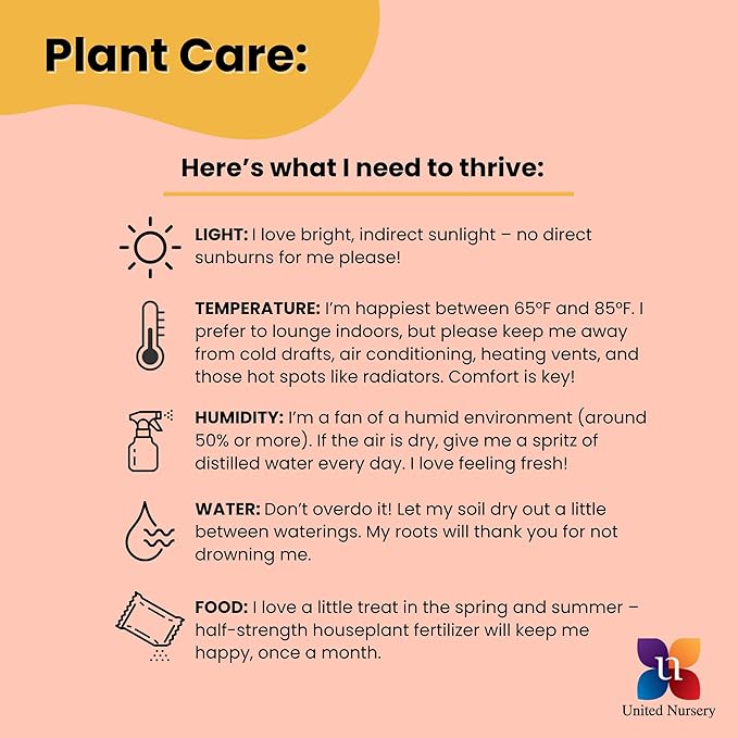 United Nursery Golden Pothos Totem – 10-Inch Pot – 38–42” Tall – Indoor Climbing Houseplant with Heart-Shaped Variegated Leaves – Easy-Care, Air-Purifying Tropical Plant for Home or Office Decor