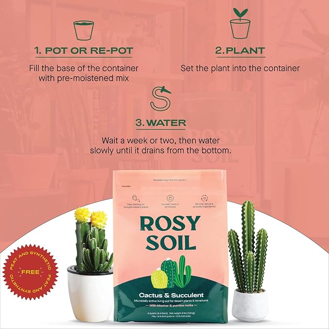 Cactus and Succulent Organic Potting Soil Mix for House Plants - Fast Draining, Root Boosting, Peat-Free, Less Prone to Gnats - Drought-Tolerant - Growth of Aloe Vera, Cacti and Indoor Succulents- 4qt