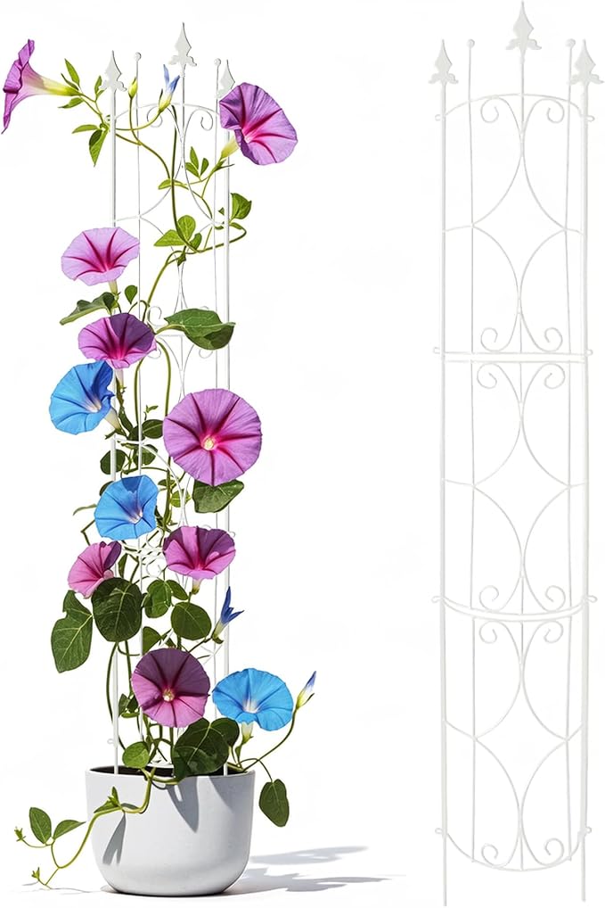 Garden Trellis 2 Pack 72'' H x 12'' W Metal Plant Trellis Indoor/Outdoor Metal Garden Trellis Plant Trellis for Potted Plants Climbing Houseplants Flowers