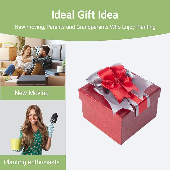 Raised Planter Box with Legs Raised Garden Bed Outdoor Planter Raised Beds Plastic for Flower Vegetable Tomato Herb for Patio Greenhouse Porch Garden Outside