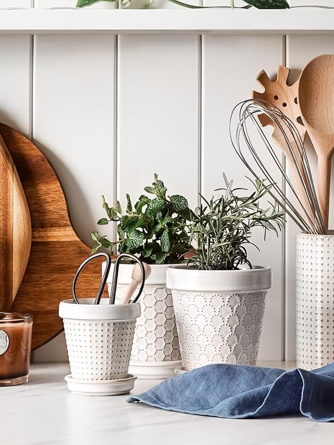 LE TAUCI 3 Inch Mini Succulent Pots - Very Small Ceramic Planter with Saucer, Tiny Embossed Flower Pots for Lithops, Mini Cactus, Air Plants, Fairy Gardens - Indoor Home Decor, Set of 4, Arctic White