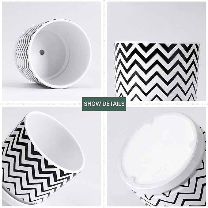 Ton Sin Plant Pots,5.5 Inch White Pots for Indoor Plants with Drainage Holes,Cylinder Flower Pot Ceramic Planters with Saucer,Cactus Succulent Outdoor Garden Pots Set of 4