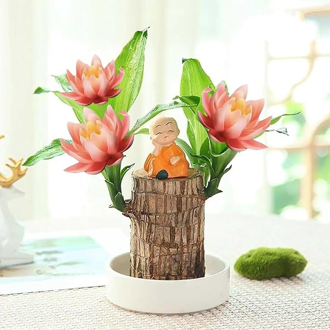 Brazilian Lucky Wood Kit with Monk, Grow Your Own Luck,Easy to Maintain Mini Brazil Woods for Indoor/Outdoor, Bedroom, Kitchen, Office Desk, Garden and Other Decorations (F)