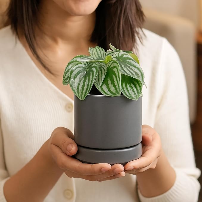 D'vine Dev 4.7 Inch Ceramic Planter Pot with Drainage Hole and Saucer, Indoor Cylinder Round Planter Pot, Grey, 94-O-B-3
