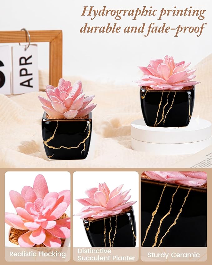 Artificial Succulent in 2PCS Black Ceramic Pot, Small Fake Succulents Plants for Office and Desk Decor,Bathroom, Bedroom, Shelves, Vanity for Women