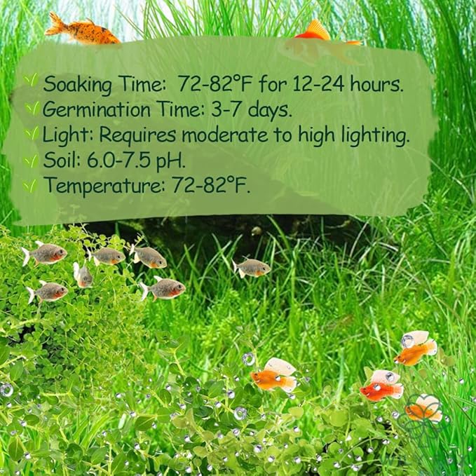 Premium Aquarium Plant Seeds for Planting – 13,000+ Live Mixed Seeds, 8 Varieties – Easy-to-Grow Aquatic Greenery for Lush, Vibrant Fish Tanks