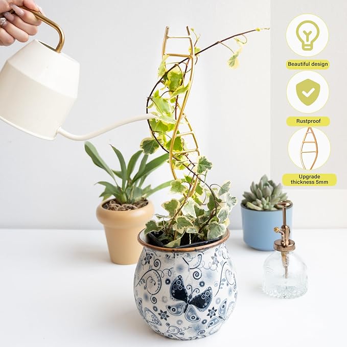 Indoor Plant Trellis for Potted Plants - Durable Metal Climbing Trellis with Unique DNA Spiral Design for Vining Plants, Easy Installation for Indoor & Outdoor Use