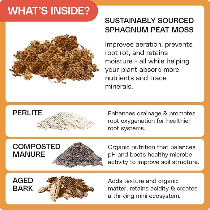 Flourish Plant Organic Houseplant Soil – 4 qt Potting Mix for Indoor Plants, Boosts Roots & Reduces Transplant Shock, with Peat for Moisture Retention, USA Made