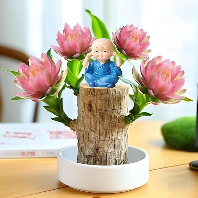 Brazilian Lucky Wood Kit with Monk, Grow Your Own Luck,Easy to Maintain Mini Brazil Woods for Indoor/Outdoor, Bedroom, Kitchen, Office Desk, Garden and Other Decorations (F)