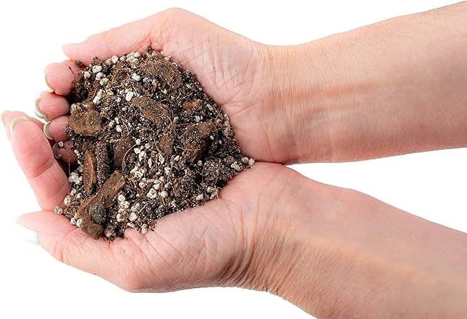 Gardenera Organic Banana Tree Soil Mix - Specially Designed for Thriving Banana Plants - Nutrient-Rich Blend for Healthy Root Development and Lush Foliage (2 Quart)