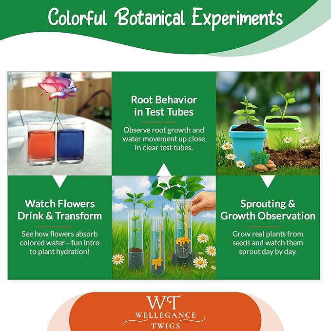 STEM Plant Growing Kit for Kids Ages 8–12 | 19 Hands-On Science Experiments | Learn Transpiration, Hydroponics & More | Grow with Seeds from Your Kitchen | Perfect for School & Home Projects