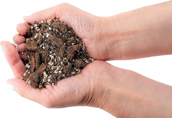 Premium Aroid Potting Mix - Soil Free Blend for Aroids - Growing Medium for House Plants by Gardenera - (1 Quart Bag)