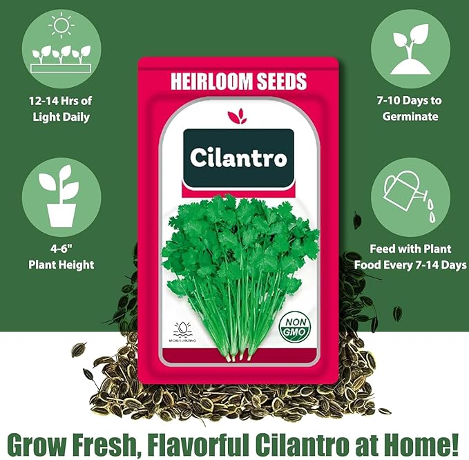 Cilantro Seed Pods for All Hydroponics Growing Systems, 12 Pods Herb Kit with 200+ Seeds of Cilantro, Grow Your Own Herb Garden at Home