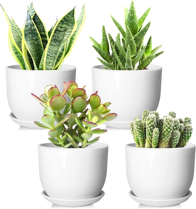 Ceramic Plant Pots,White 5.5 Inch Flower Pots for Plants,Ceramic Planter with Drainage Holes,Indoor Planter Pots with Saucer,Outdoor Garden Pots (White, 4 Pack)