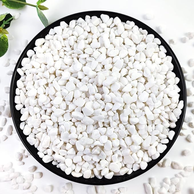 5LB Succulent and Cactus Gravel Pebbles, 1/5 Inch White Natural Decorative Polished Stones, River Rocks for Plants, Vases, Aquariums, Terrarium and Outdoor Gardening