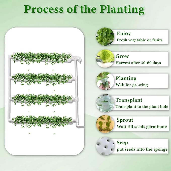 Wall-Mounted Hydroponic Grow Kit, 1 Layers 36 Plant Sites 4 Food-Grade PVC-U Pipes Hydroponics Planting System with Water Pump, Pump Timer, Nest Basket and Sponge for Leafy Vegetables