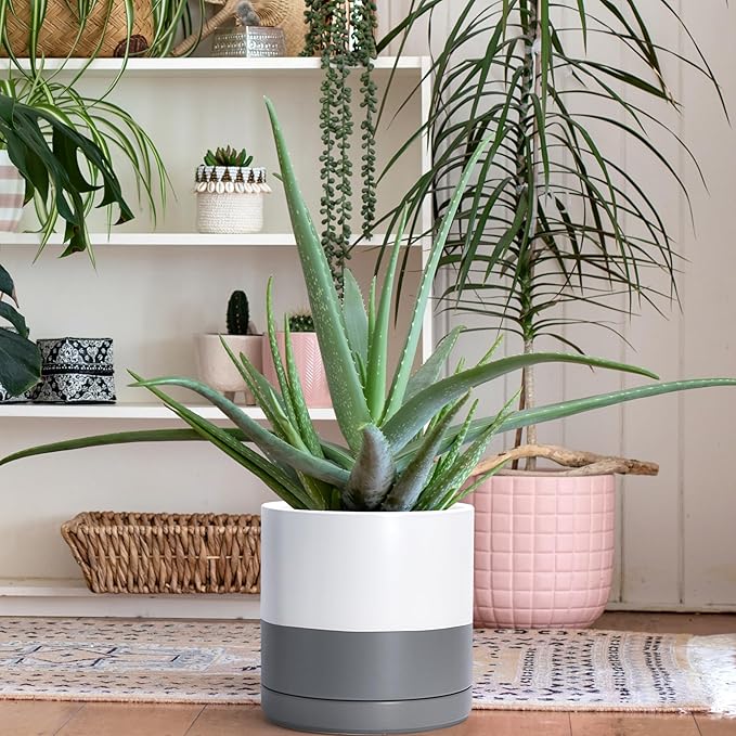 D'vine Dev Set of 2 Plants Pots, 10 Inch Ceramic Planter Pot for Plants with Drainage Hole and Saucer, White/Speckled Grey, 94-V-E-6