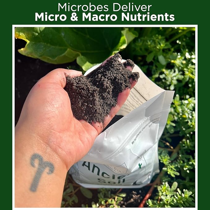 Elm Dirt Premium Ancient Soil for All Plants - Organic Plant Soil for Outdoor Plants & Indoor Plant Soil | Garden Soil for Plant Nutrients Growth & Protect your Plants Bugs - Roots Organic Soil (4lbs)