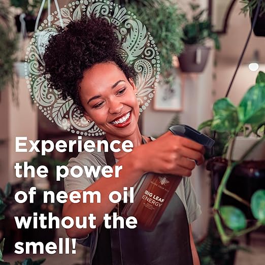 Big Leaf Energy, Neem Oil Concentrate + Essential Oils for Plants and Leaf Care - Organic, Non-GMO, Ready to Mix, Multi-Purpose Leaf Wellness (Makes 32-90 gallons)