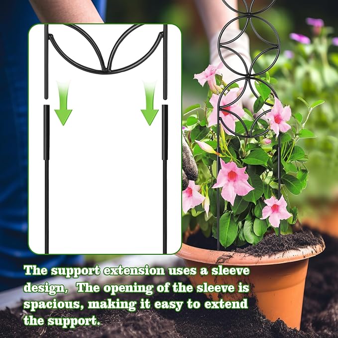 24Inch Outdoor Plant Trellis for Climbing Plants,Metal Garden Trellis for Potted Plants,Plant Stakes for Indoor Plants Accessories Hoya,Flower,Plant Support,Plant Gifts (24IN-Coin)