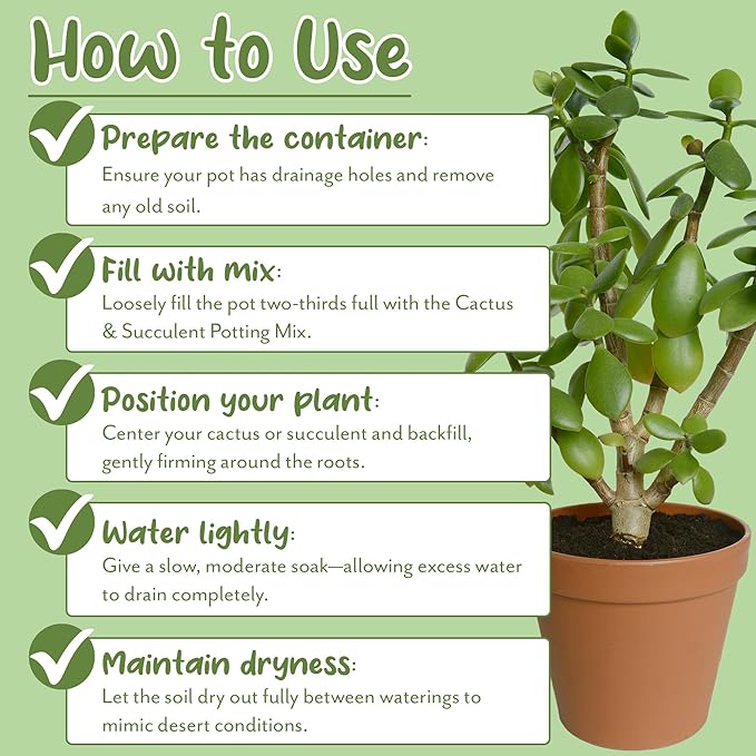 Cactus and Succulent Potting Mix (8 Quarts), Special Blend-Fast Draining and Desert-Style Gritty