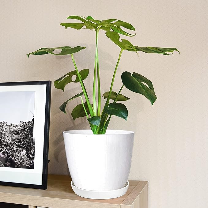 Plant Pots, 12 Pack 6 inch Modern Plastic Planters with Drainage Holes and Saucers for Indoor Outdoor Plants and Flowers, White