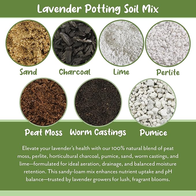 Lavender Potting Soil Mix (8 Quarts), Indoor/Outdoor Container Gardening Blend for Lavender Herb Plants