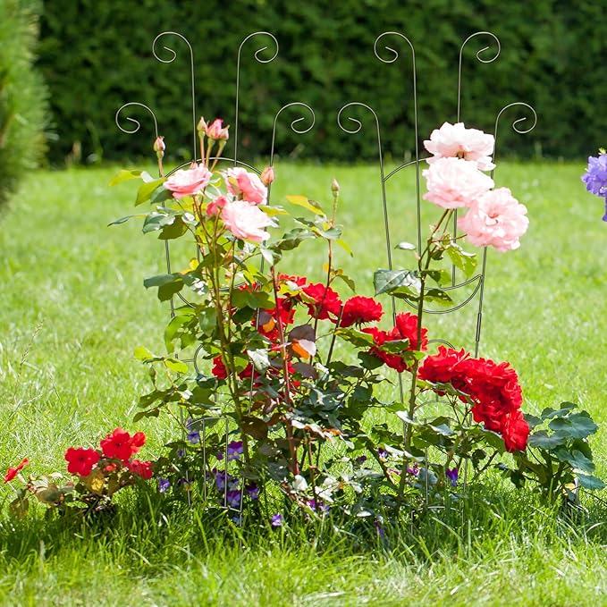 2 Pack 32.6'' Taller Plant Trellis for Climbing Plants Indoors & Outdoor, Garden Metal Trellis Plant Support for Potted Plants, Houseplants, Flowers Vine, Ivy, Pothos, Monstera