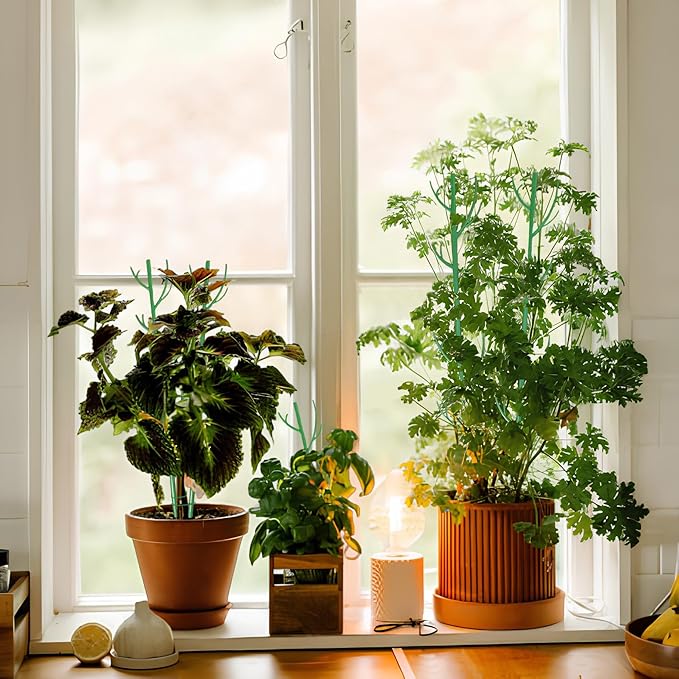 Orgrimmar 6 Pack Monstera Plant Support Stakes Adjustable Length with Green Ties for Indoor Outdoor Climbing Plants