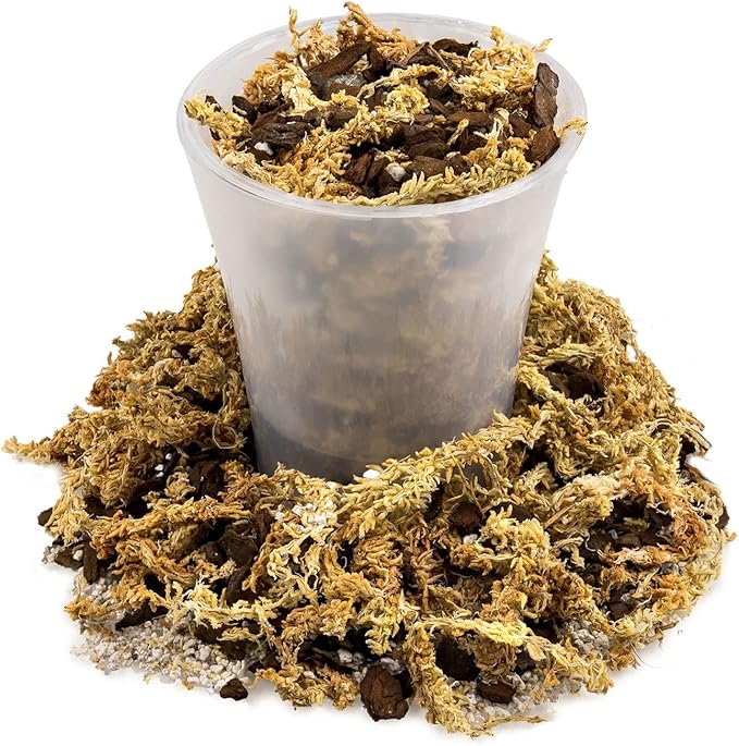 Premium Sphagnum Moss, Perlite and New Zealand Pine Bark Blend for Carnivorous Plants - Perfect for Venus Fly Traps, Pitcher Plants, Sarracenia, Butterworts, and Sundews by GARDENERA - 5 Quart Bag