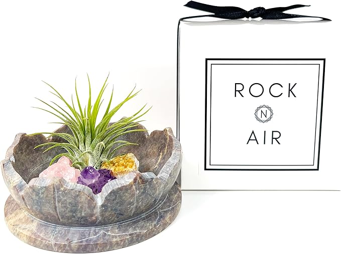 Lotus Carved Stone Bowl with Small Amethyst, Rose Quartz, Citrine Crystals and Air Plant – Mindfulness Decor for Yoga Meditation Enthusiasts, Crystal Collector