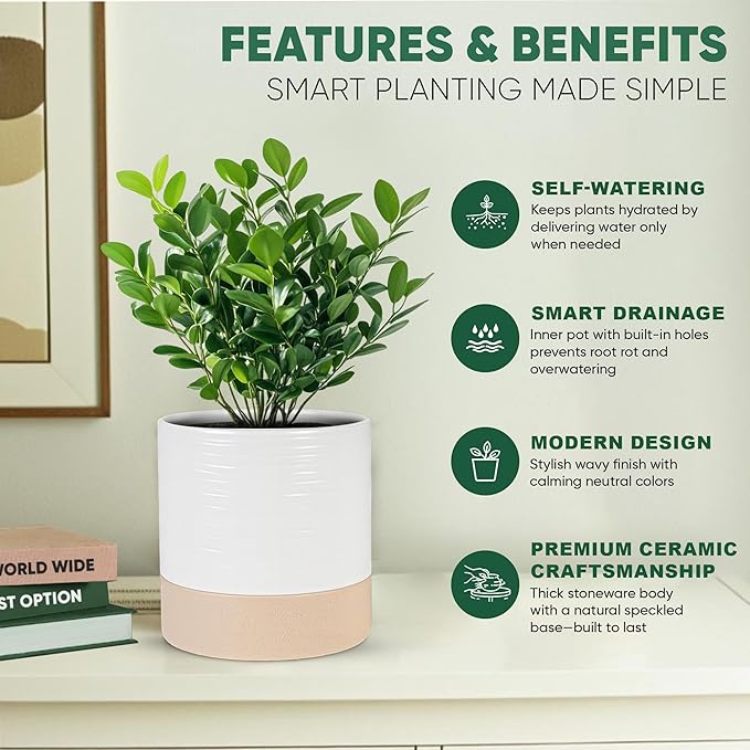 Self Watering Planter – 6 Inch Ceramic Plant Pots for Indoor House Plants with Drainage Hole & Water Storage for Succulents (White & Beige, 7" Tall)