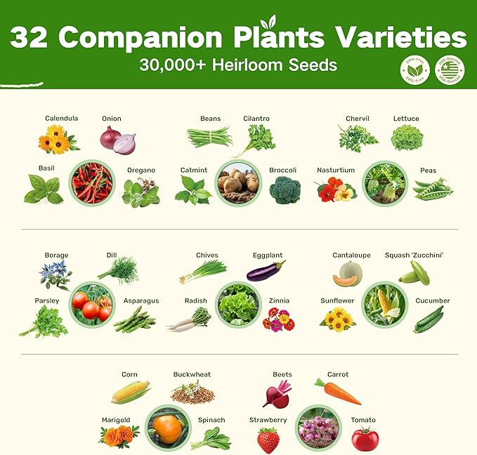 Lush&Dew Companion Plants Heirloom Seed Bank, Gardening Gifts, 32 Varieties 30,000+ Non-GMO Fall Winter Vegetable Seeds for Planting in Garden Beds Greenhouse, Survival Seed Kit Emergency Food Supply