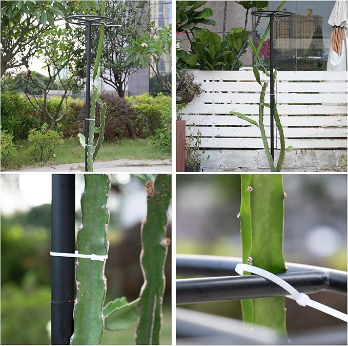 14"x14"x60" 1PCS Dragon Fruit Trellis - Durable Metal Vertical Support Frame for Climbing Plants, Easy Assembly with Instructions, for Dragon Fruit Enthusiasts