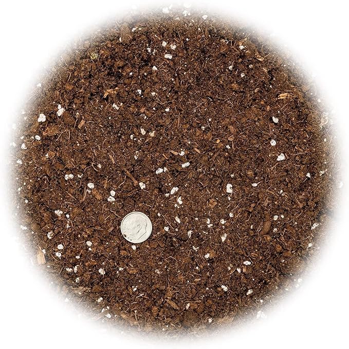 GARDENERA Premium Pothos Potting Soil Mix - Air Cleaning Plant Potting Mix, Soil Mix for Pothos, Parlor Palm, Peace Lily - (2 Quart Bag)