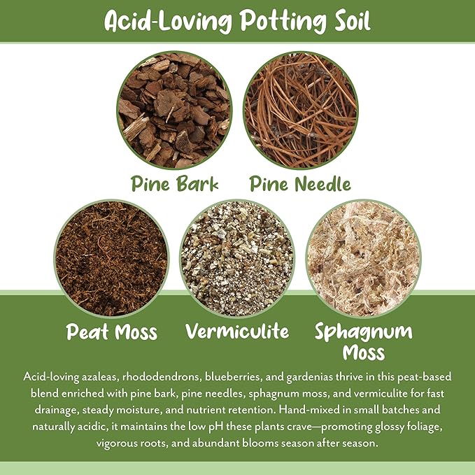 Acid Loving Plant Potting Soil Mix (12 Quarts), Premium Container Blend pH Balanced for Azaleas, Rhododendrons, Blueberries and More