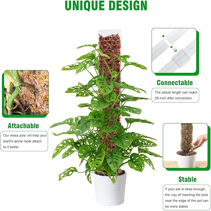 Bonviee 4-Pack 15-Inch Plastic Moss Poles for Monstera & Climbing Plants - Stackable to 60 Inches, Includes Sphagnum Moss & Garden Ties for Indoor Plant Support
