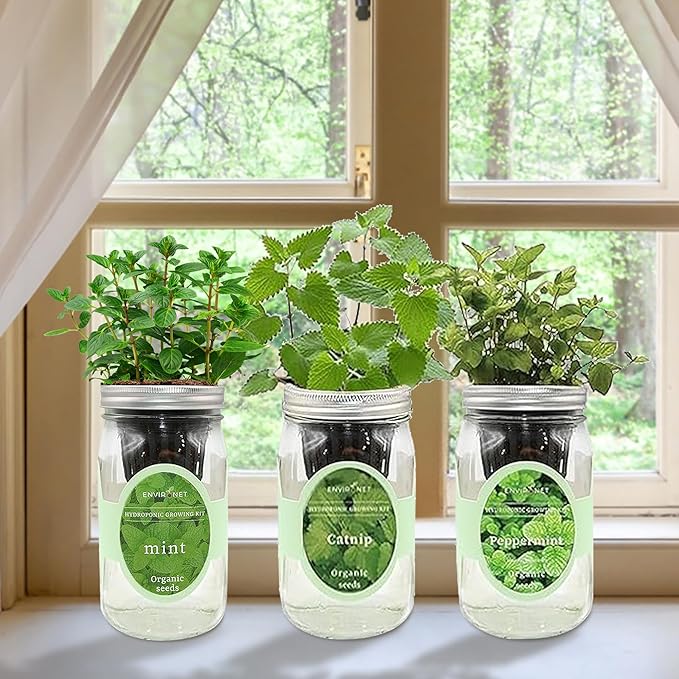 Hydroponic Herb Growing Kit Set, Self-Watering Mason Jar Herb Garden Starter Kit Indoor, Grow Your Own Herbs from Seeds (Mint, Peppermint & Catnip)