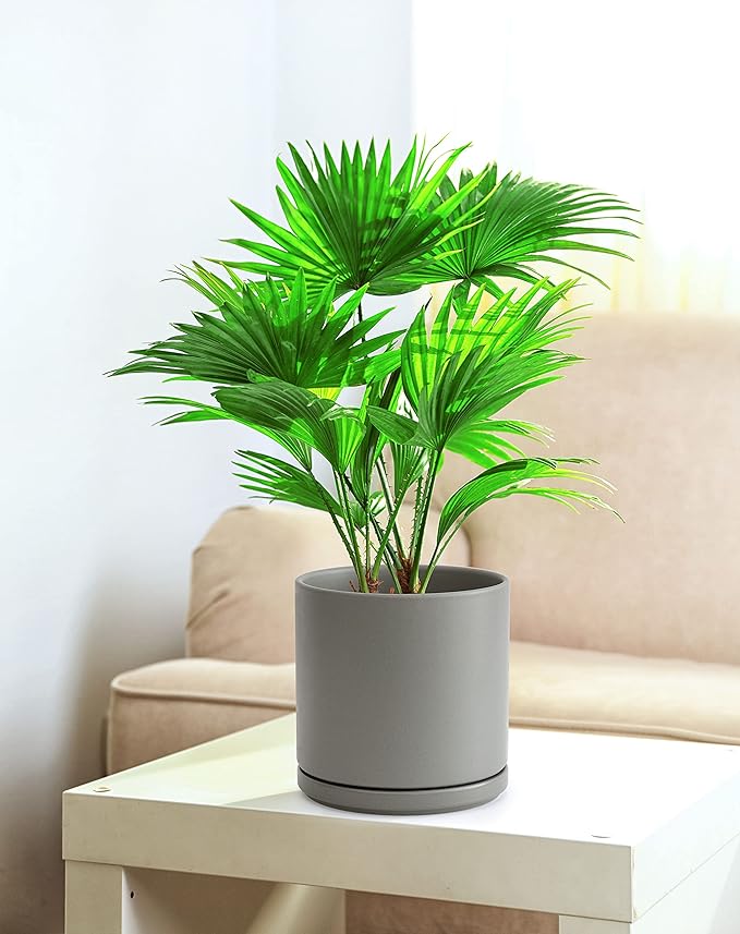 D'vine Dev 8 Inch & 10 Inch Ceramic Planter Pot for Plants with Drainage Hole and Saucer, Large Plant Pots Set, Grey, 94-G-L-3