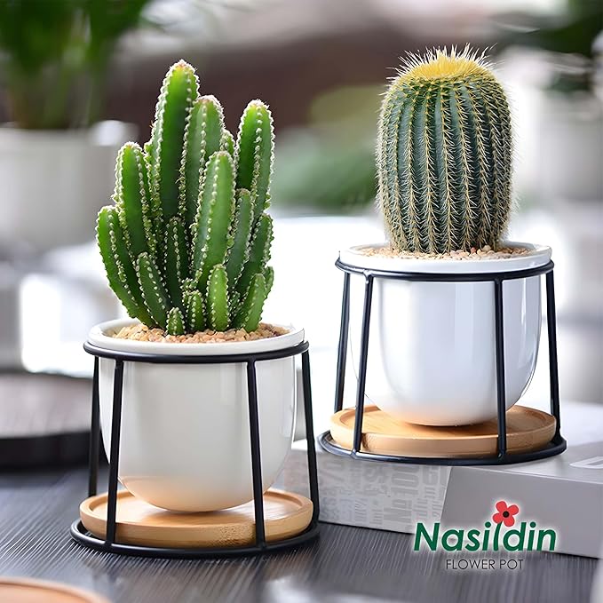 Floating Style Small Succulent Pots-3.7 Inch with Drainage and Tray, Cactus Pot, White Modern Indoor Ceramic Plant Pots (White 2)